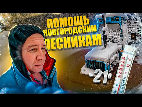Видео: Помощь новгородским лесникам.
