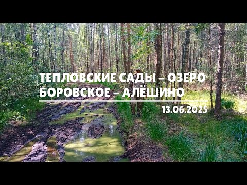 Видео: Тепловские сады - озеро Боровское - Алёшино (13.06.2025)
