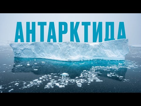 Видео: Антарктида - тяжелый люкс среди айсбергов. Подкаст оператора севера