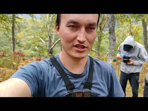 Видео: Серфкемп на Камчатке 2025
