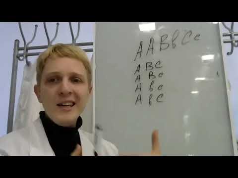 Видео: Полигибридное скрещивание