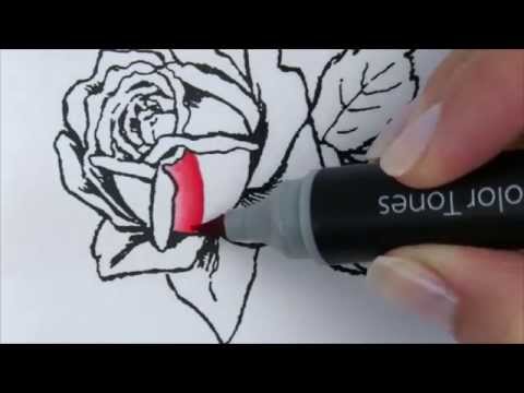 Видео: МАРКЕРЫ ХАМЕЛЕОН (CHAMELEON Color Tones PENS)