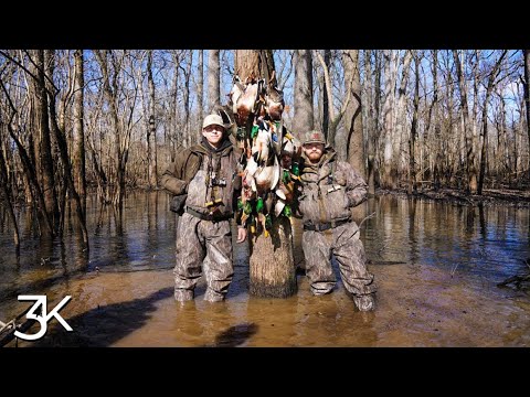 Видео: Охота на уток в Арканзасе | 5 человек на деревьях