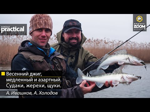 Видео: Весенний джиг, медленный и азартный. Судаки, жерехи, щуки. А. Ивашков, А. Холодов. Anglers Practical