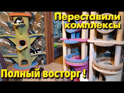 Видео: Переставили комплексы. Полный восторг! 