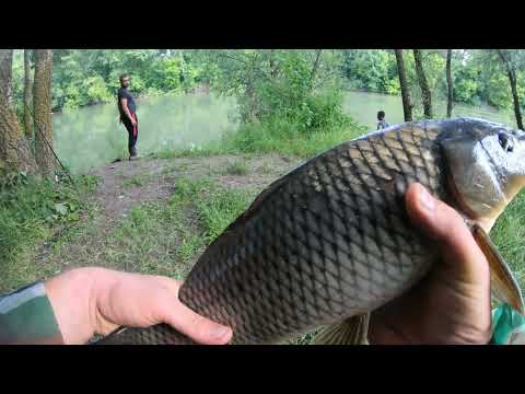 Видео: РЫБАЛКА В ТРОИЦКОМ / Рыбалка на Турунчуке. Отдых с друзьями #рыбалка, #сазан