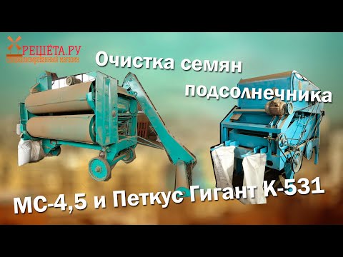 Видео: Очистка семян подсолнечника на МС 4,5 и Петкус Гигант К 531