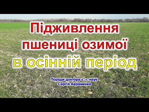 Видео: Підживлення пшениці озимої в осінній період