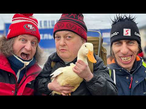 Видео: ЛАФА УДОЧЕРИЛ ГУСЯ С БАРАХОЛКИ. СВИНЬЯ В ШОКЕ!