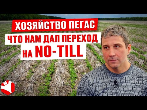 Видео: Как использовать технологию No-Till для устойчивого развития | Точное земледелие | Агроноут