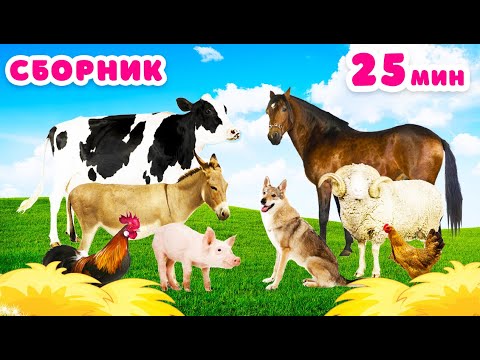 Видео: СБОРНИК Как говорят животные Звуки животных Домашние животные для детей Корова Лошадь