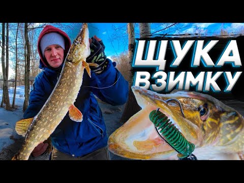 Видео: ЯК ЗЛОВИТИ ЩУКУ ЗИМОЮ? ТОП ПРИМАНКИ НА ЗИМОВУ ЩУКУ!