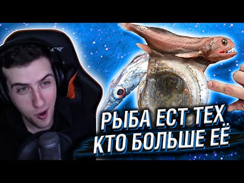 Видео: ЭТА РЫБА ЕСТ ТОЛЬКО ТЕХ, КТО БОЛЬШЕ ЕЁ // РЕАКЦИЯ HELLYEAHPLAY