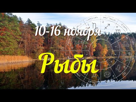 Видео: РЫБЫ ♓️Прогноз на неделю с 10 по 16 ноября .