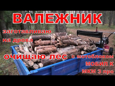 Видео: Валежник. Заготавливаю на дрова с мотоблоком МОБИЛ К МКМ 3 про.