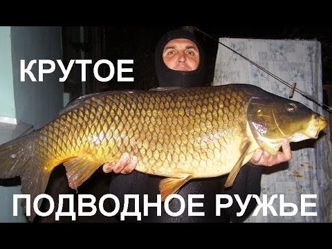 Видео: Крутое подводное ружье Олега Гератика