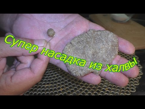 Видео: Супер насадка из халвы для ловли карпа и карася.  My fishing.