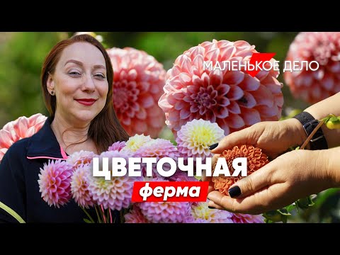 Видео: Как заработать на цветочной грядке? Монолог владелицы фермы