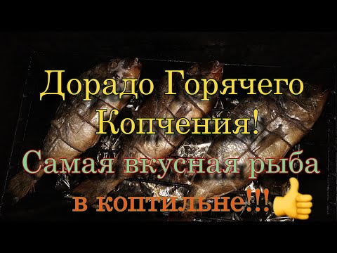 Видео: Дорадо Горячего Копчения! Самая вкусная рыба в коптильне!!!