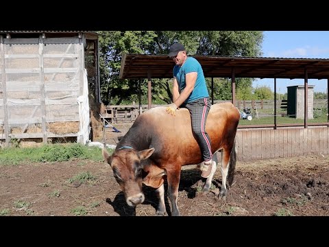 Видео: Пусть не работает, главное чтоб детей делал!