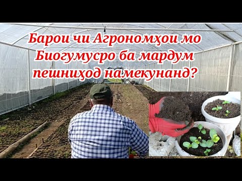 Видео: Барои чи Агрономҳои мо Биогумусро ба мардум пешниҳод намекунанд? тарзи кирмак ҷудокуни аз Биогумус