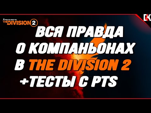 Видео: Вся Правда о Компаньонах в The Division 2 #den4ikrnd
