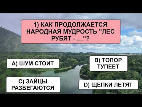 Видео: Лишь 3% самых умных людей способны ответить хотя бы на 19 вопросов — а вы справитесь?