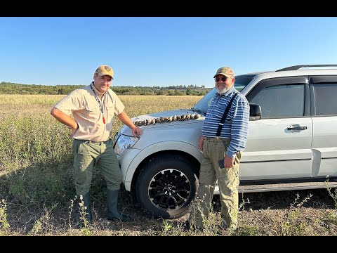 Видео: Охота на перепела со спаниелями. Тамбовская область 2024. Серия 2. quail hunting