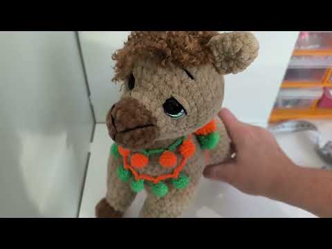 Видео: 2 ноября 2025 г.