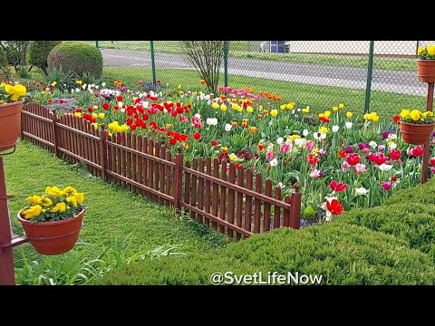 Видео: ОХОТНИЦА за ЦВЕТАМИ😁#flowers СПАСИБО этому дому!😍#thanks