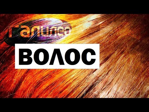 Видео: Галилео. Волос 💇 Hair