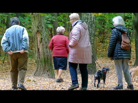 Видео: Какое имущество пенсионера приставы сейчас не могут забрать за долги