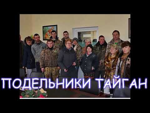 Видео: ЛЕВ гуляет по ТАЙГАНУ? Леокадия ВЫПУСТИЛА?#тайган #животные #новости