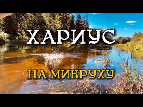 Видео: Живописные места, классные поклевки, и поиски форели😋 А так же Хариус на микро-джиг😊👊 