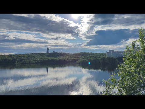 Видео: Мурманск. вечером по семечке...