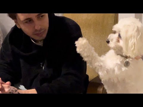Видео: DM встреча с любовью всей жизни❤️новая кухня из IKEA. Последние новости