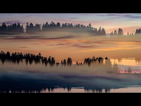 Видео: Слиха или Слегка - Недельная Глава Ки Таво 5785