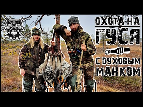 Видео: Сотни гусе, Налеты, Духовой манок, Как правильно готовить печень Гуся