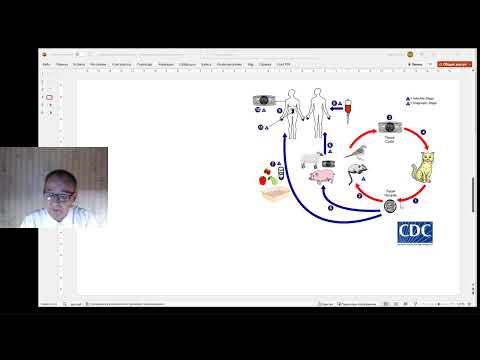 Видео: паразитарные болезни при иммунодефицитных состояниях (лекция #3 цикла НМО "Паразитарные болезни")