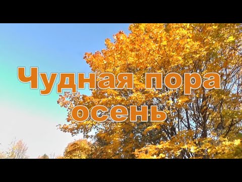 Видео: Чудная пора осень