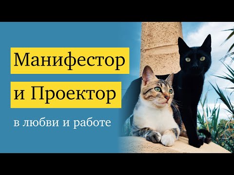 Видео: Манифестор и Проектор: взаимодействие в любви и работе