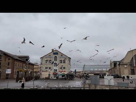 Видео: Рига день 4. Делаем документы. Поехали на Балтийское море. Деньги в пиве 