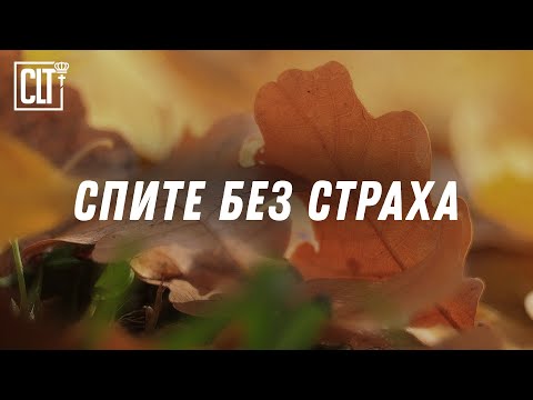 Видео: Я взыскал Господа, и Он услышал меня, и от всех опасностей моих избавил меня | Библия | Relaxing