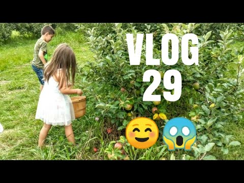 Видео: Алимны модруу явлаа. Аймшгийн кино ч үзлээ.  😁🍎🤡😱 #29