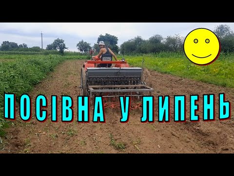 Видео: Сіємо кукурудзу на силос🌽🌽🌽мінітрактором, ШІФЕНГОМ - 244 і КІННОЮ  СІВАЛКОЮ/SHIFENG польська сівалка