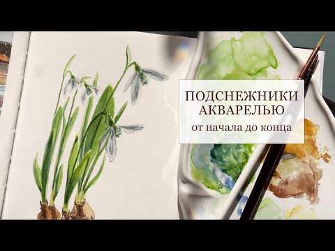 Видео: Рисуем подснежники акварелью. От начала до конца. С пояснениями. Drawing snowdrops with watercolors.