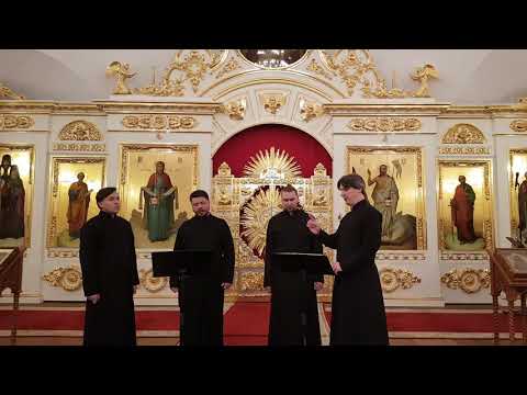 Видео: Свете тихий С.Трубачев