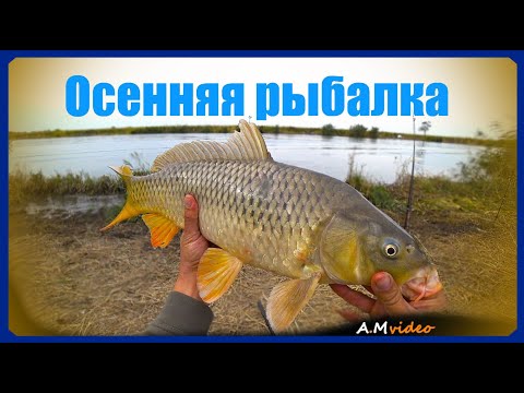 Видео: Осенняя рыбалка в Маяках. Река Днестр ( Глубокий Турунчук) 13 - 14.10.23.