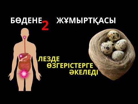 Видео: Бөдене жұмыртқасының пайдасы | Бодене жумырткасы пайдасы