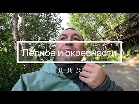 Видео: Лесное и окрестности | ATV Сахалин | РМ 500 - 2 |